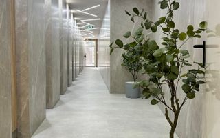 Chirie ultracentrală 3 camere, Petre Dulfu, bloc cu lift - Poză 8