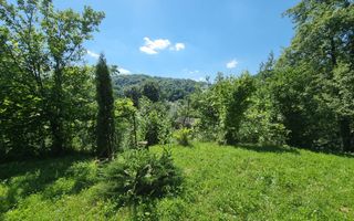 Casa de la marginea padurii! - Poză 12