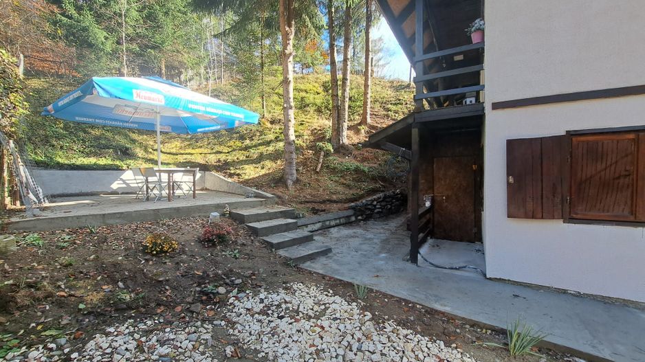 Vanzare Casa de Vacanta, Rucar - Poză 12