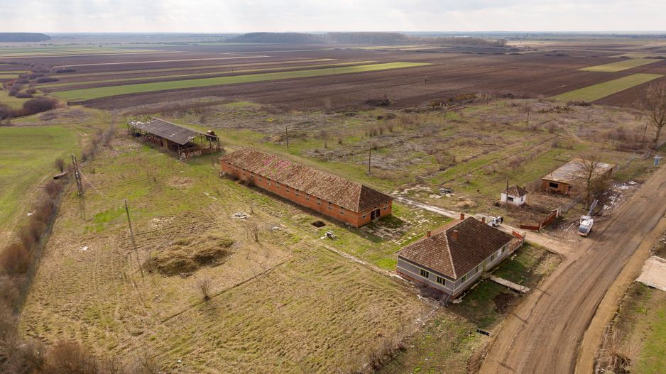 Fermă cu teren intravilan de 35000 mp în Mișca - Poză 12