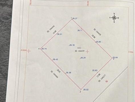 Teren de vanzre in Ovidiu - Poză 3