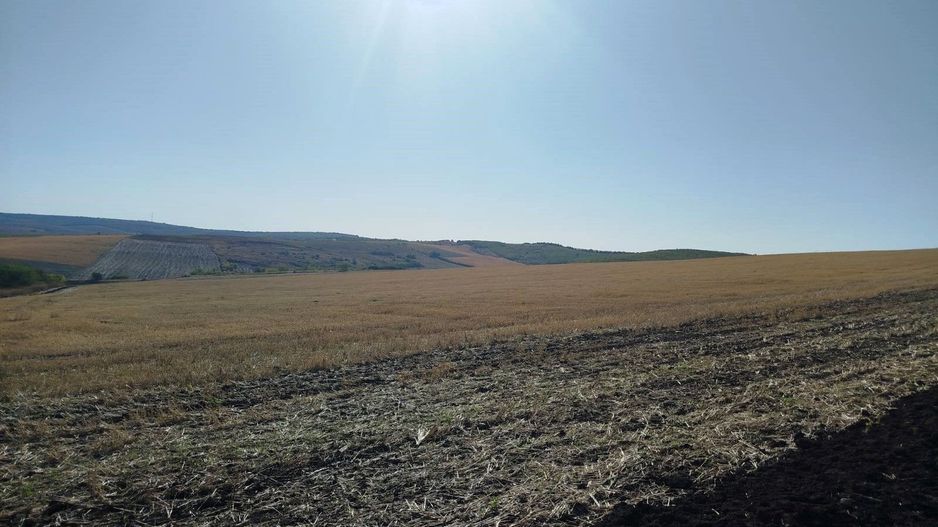 Teren Agricol de Vânzare (Extravilan, 182 Ari) –în mun. Chișinău, or. Sîngera  -Investiție cu Potențial ! - Poză 6