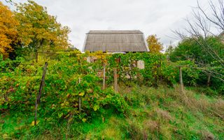 Lot pomicol de 6 ari în Ialoveni, cu construcție auxiliară. - Poză 10
