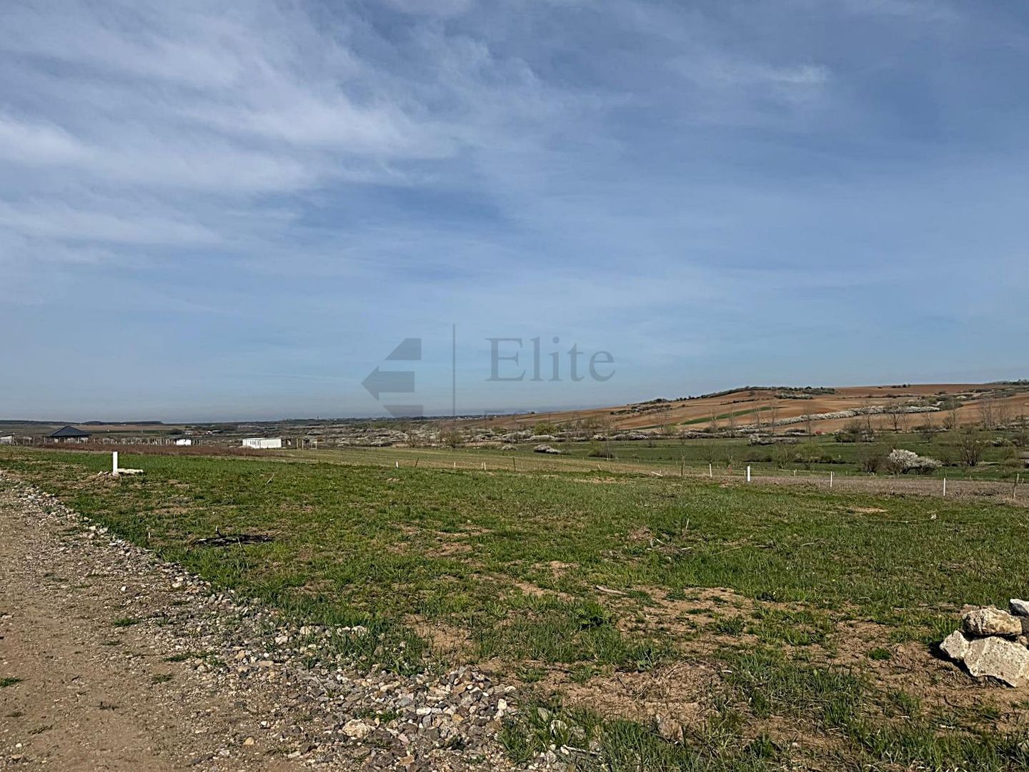 Teren intravilan 700 mp de vanzare in Paleu - Poză 8