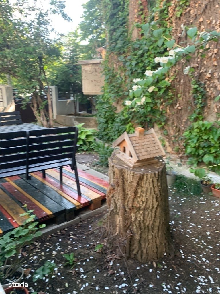 Vila Cotroceni - Poză 2