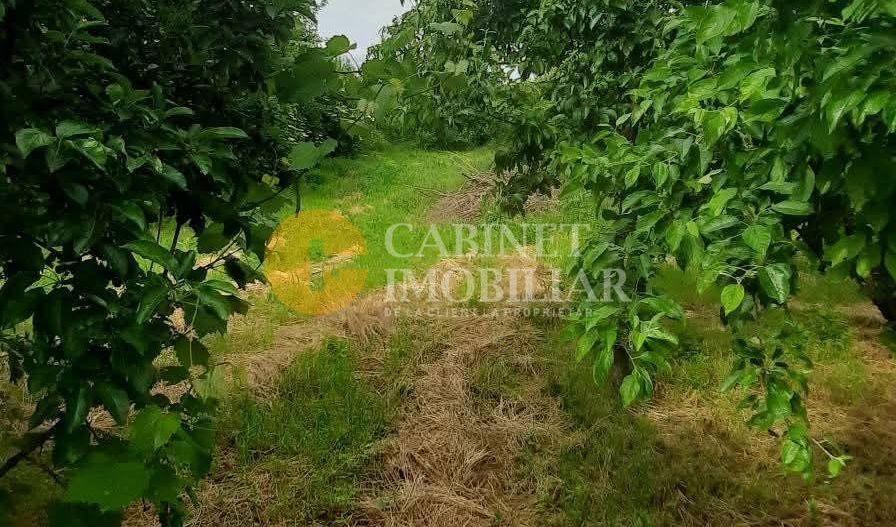 🏡 CASĂ BĂTRÂNEASCĂ + 1700 MP  TEREN  LA STRADA PRINCIPALĂ  – TUTORA, IAȘI 🌿 - Poză 3