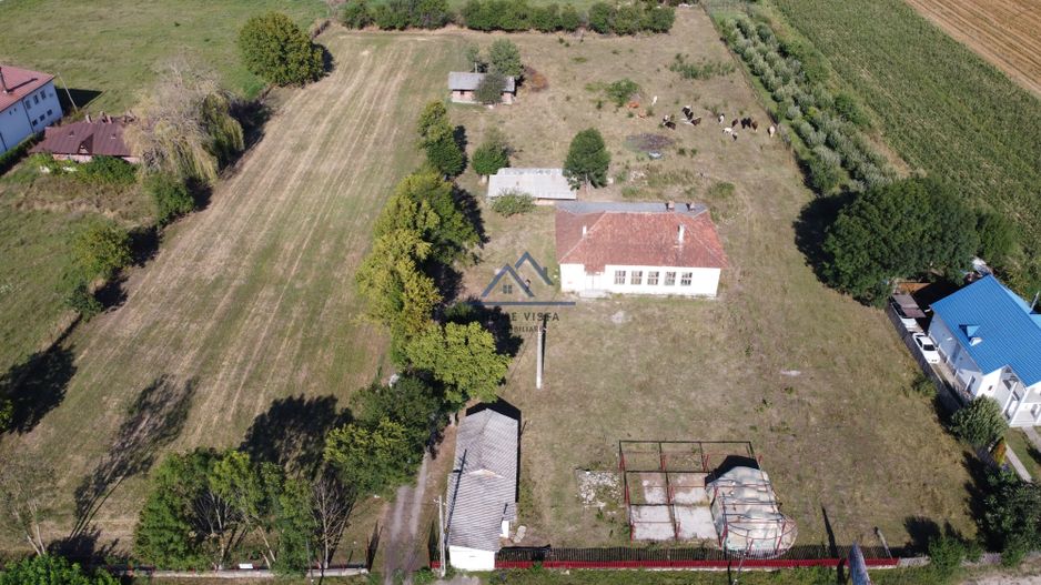 Teren intravilan de 10 614 mp cu deschidere de 59 m – Baiculesti (Comision 0%) - Poză 2