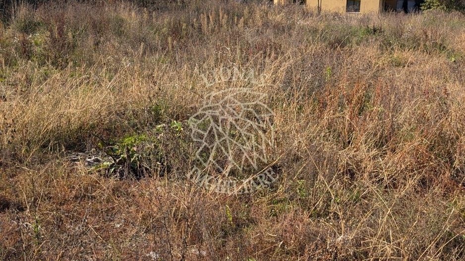Teren intravilan cu utilitati 1321 mp-panorama-Zona Zavoaie - Poză 3