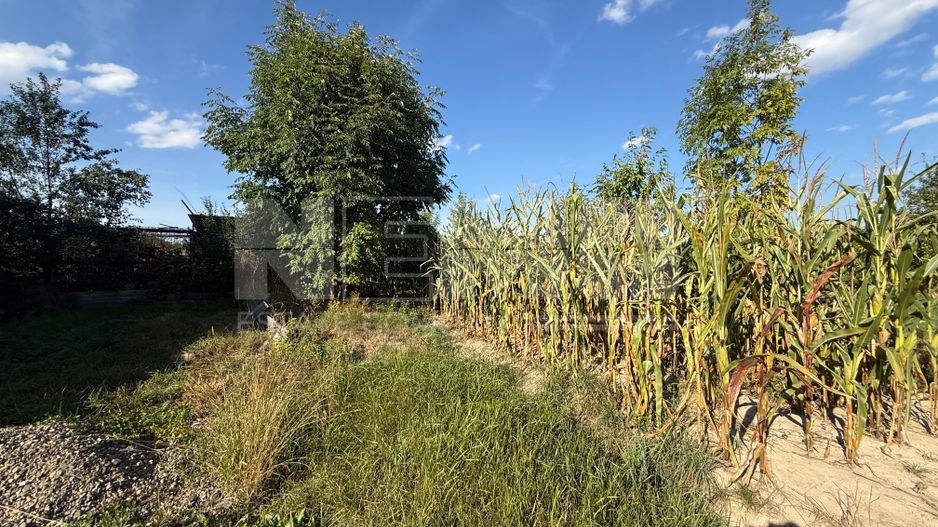 Teren intravilan Voitinel | 6.355 mp - Poză 5