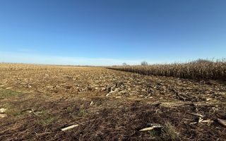 TEREN EXTRAVILAN  51 ARI |  HORODNIC DE JOS  | - Poză 4