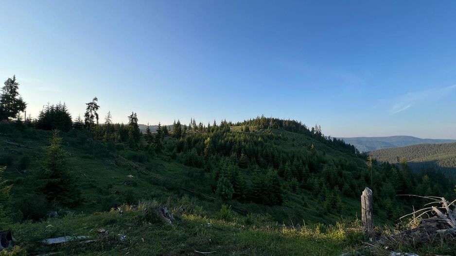 50 hectare teren | Moldova-Sulita | Potential turistic si agricol - Poză 14