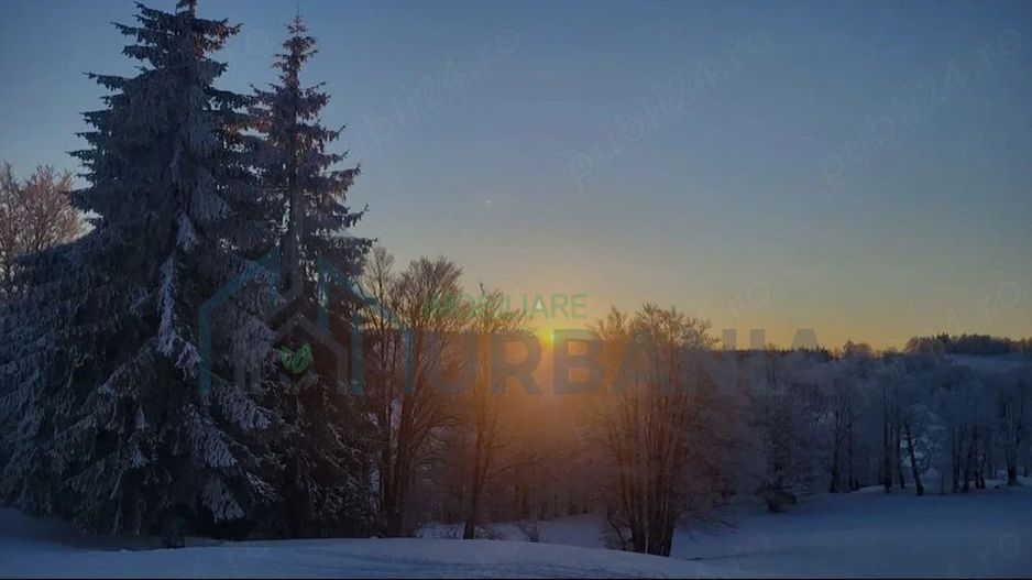 Gradină în arendă, 500 mp, zona Nicolina, Iași - Poză 1