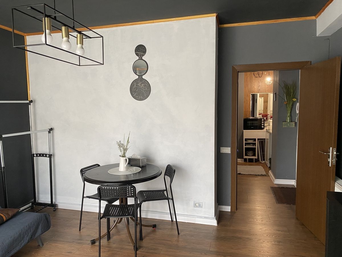 Splaiul Unirii, Mihai Bravu, parter in vila - Poză 6