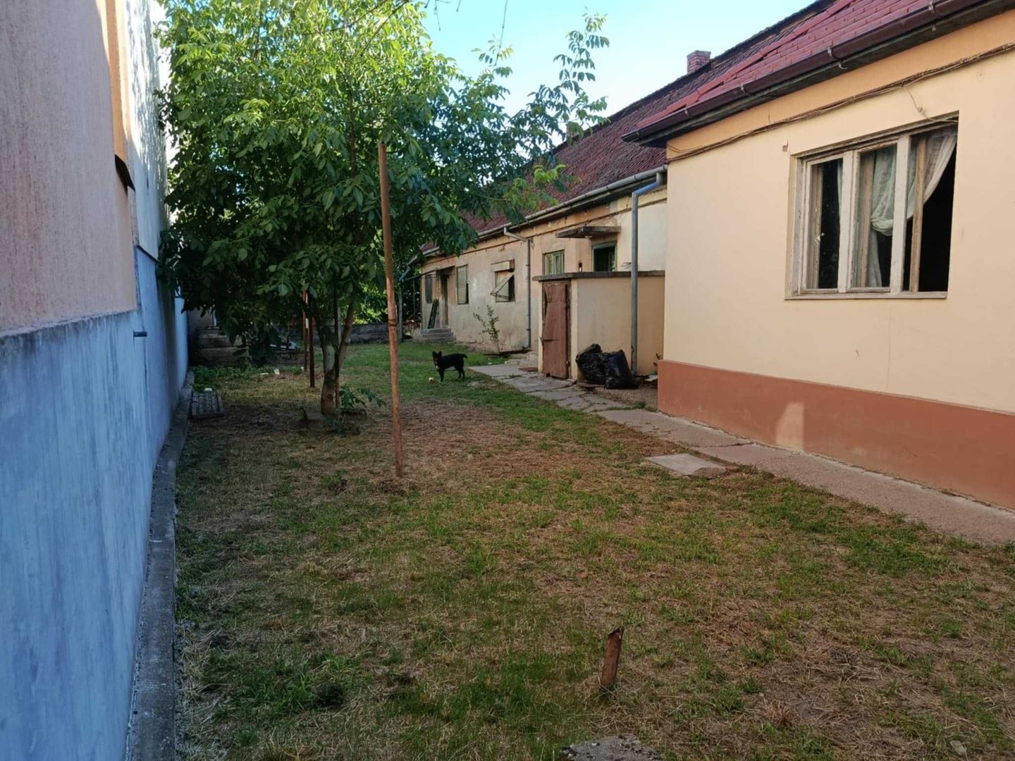 BRASADAS vinde casa mare cu teren pe strada Dara - Poză 4