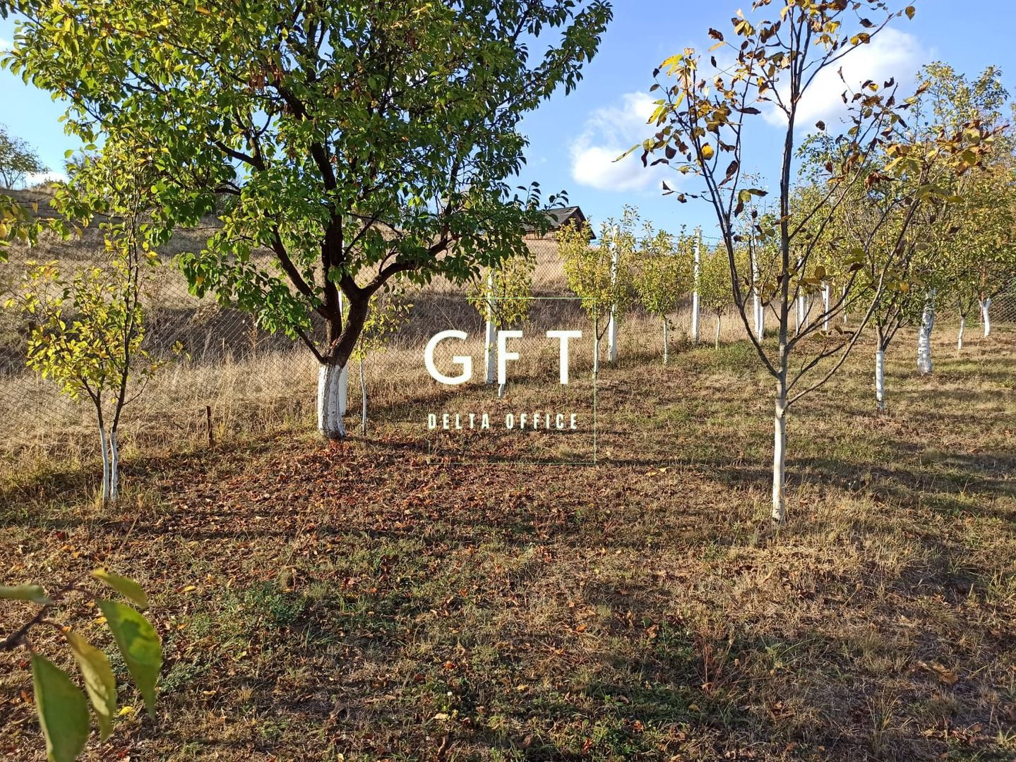 Teren intravilan 730 mp-livada-vedere panoramica-Valea Sigmirului - Poză 5