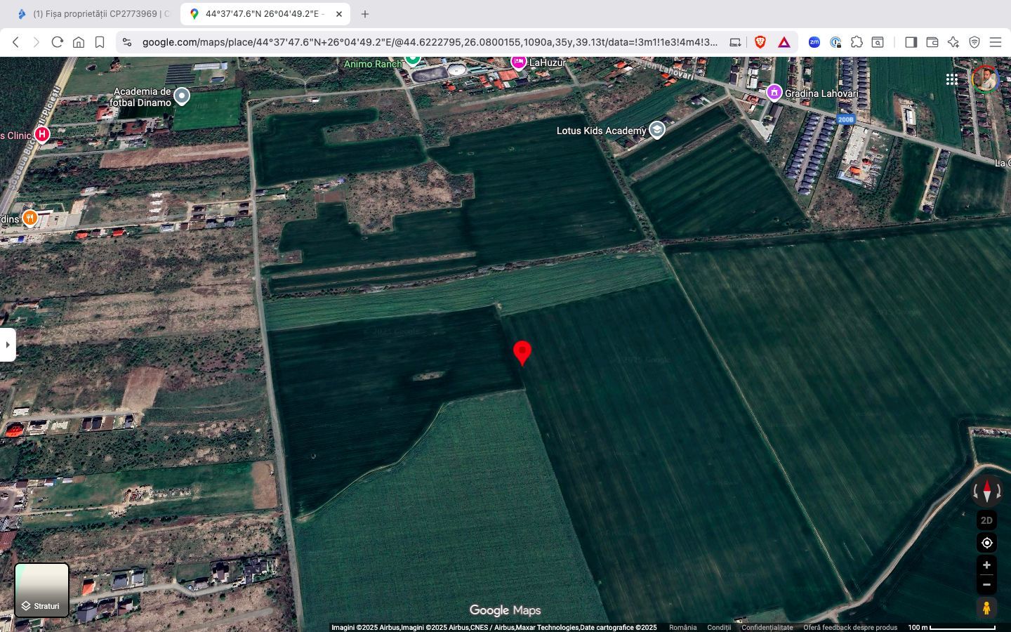 Teren extravilan 18.200 mp Saftica Balotesti - Poză 1