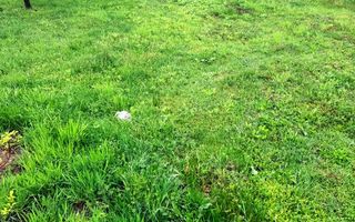 Teren constructie casă de vacantă !! - Poză 3