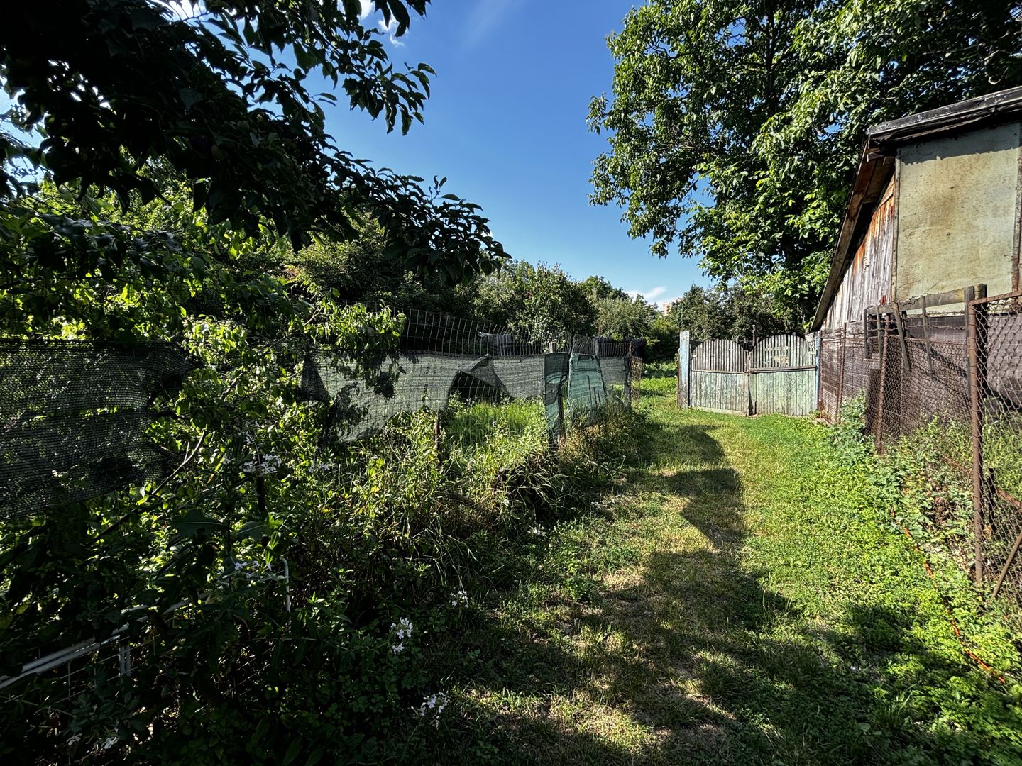 Doua case de vanzare 75 M² + curte 720 M² Piata Kalvin - Poză 13
