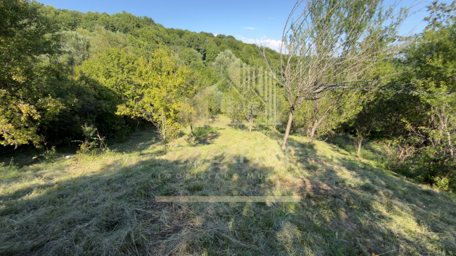 TEREN 3200 MP GODENI ARGEȘ - Poză 26