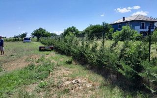 Casă de vânzare în Sculeni, com. Victoria – P+M, 90.000 EUR - Poză 3