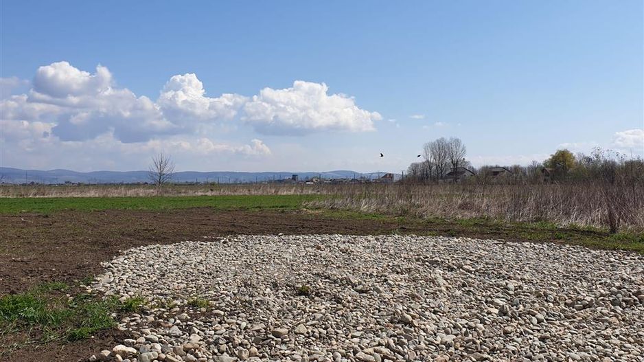 5.000 mp intravilan, parcelabil, Halchiu, Brasov - Poză 2