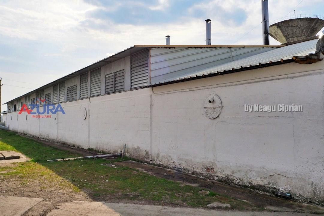 COMISION 0% - HALE Calinesti Arges - Poză 43