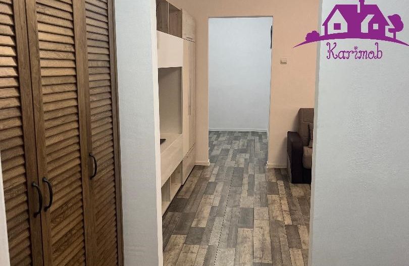 Apartament de inchiriat pe b-dul Dacia - Poză 14