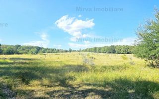 Vanzare teren intravilan, in Pacureti - Poză 5