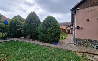 Casă cu 3 camere, anexă și teren de 901 mp – Pecica, zonă centrală - Poză 12