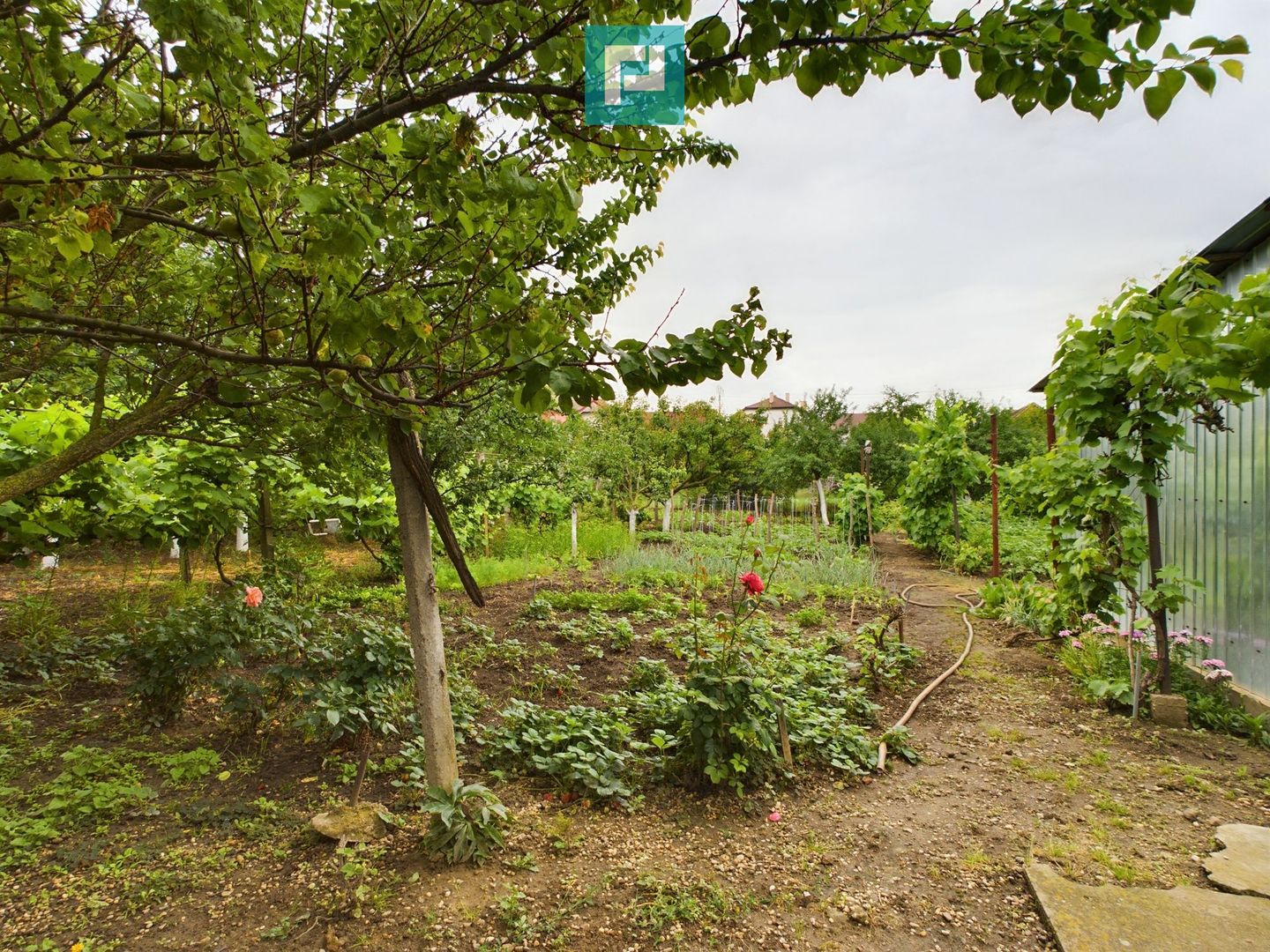 Casă ideală pentru o familie numeroasă, Sântana - Poză 16