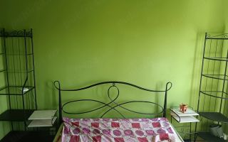 Apartament 3 camere zona Steaua - Poză 9