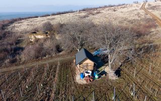 Vita-de-vie Premium  teren de 6800 mp în Covăsinț - Poză 10