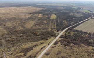 Teren extravilan 95.23 ha lângă Caransebeș - Poză 8