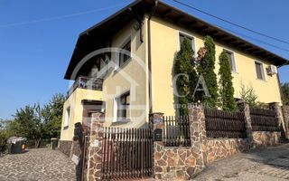 Casa cu 7 camere de inchiriat in zona Georghe Doja, Oradea - Poză 19