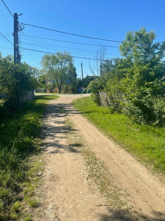 De Vanzare Gospodarie Cerbu - Poză 7