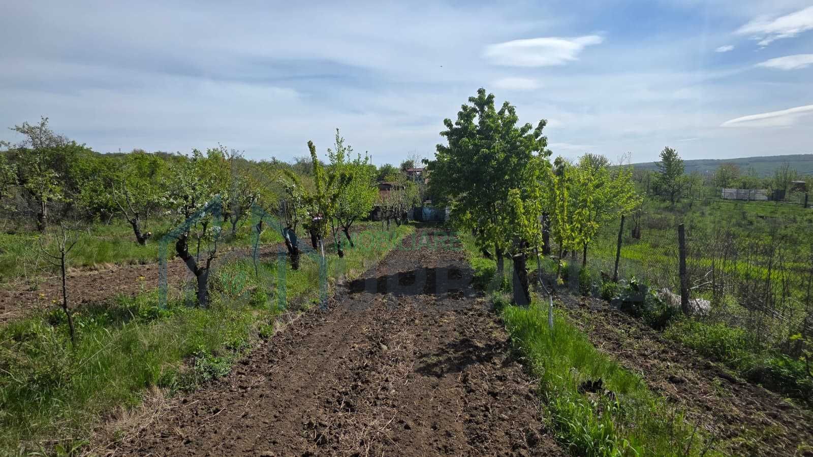 Teren intravilan 1500 mp, Tomesti – Chicerea, 10 km de Iasi, utilitati la limita - Poză 8