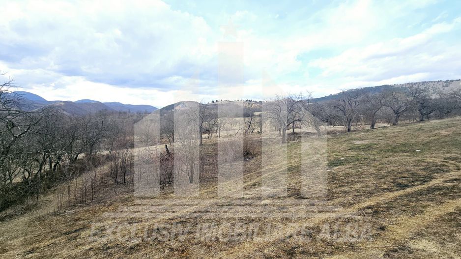 Teren intravilan de vanzare, Geogiu de Sus - Poză 4