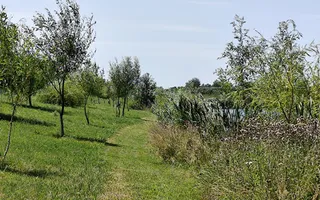 Balta de Pescuit, Cabana din Busteni, Teren 6,37 ha, langa Oradea - Poză 18