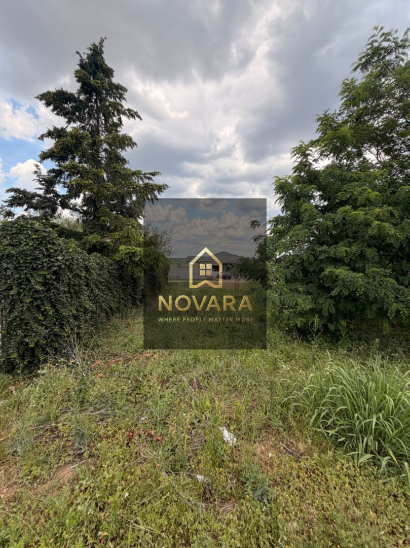Teren intravilan 550mp de vanzare in Paleu - Poză 5