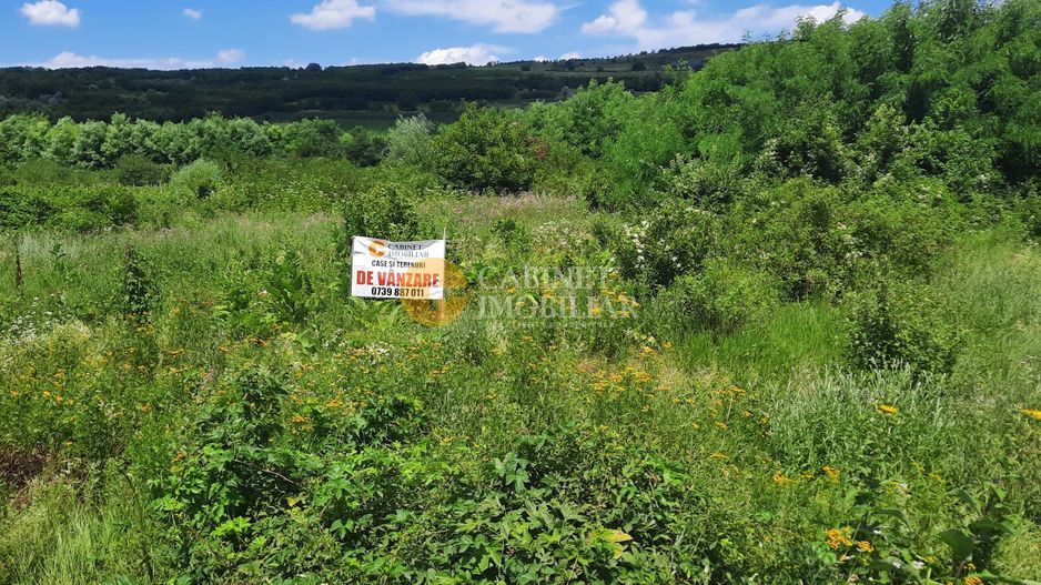 🌳 🌞🌿 TEREN INTRAVILAN OSOI 2800 mp - 49.999 Euro ! 🌳🌞🌿 - Poză 1