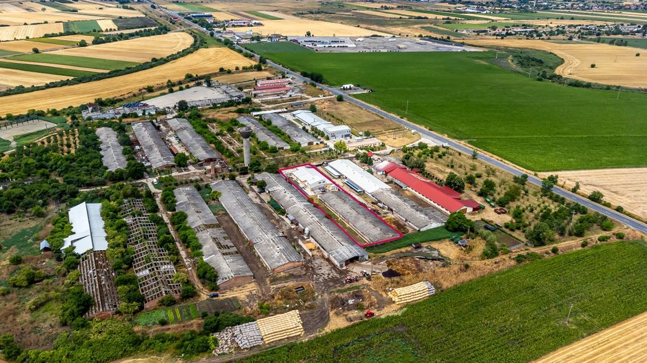 Unitate de abatorizare și procesare carne DN7  -  Nădlac - Poză 14