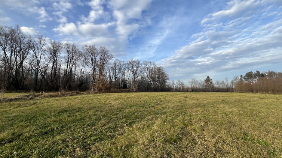 TEREN INTRAVILAN GENEROS | 72 ARI | GALANESTI - Poză 5