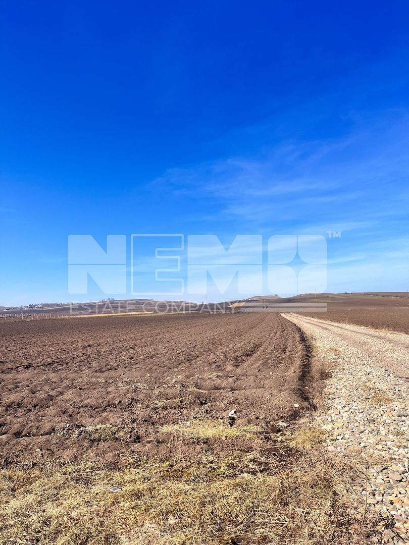 Vanzare I Teren I Suceava/Stroiesti I 100 ARI 2999 Euro/Ar - Poză 8