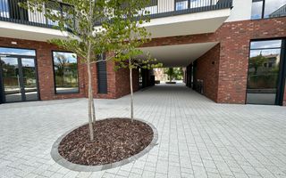 Apartament 2 camere -Paltim - Poză 19