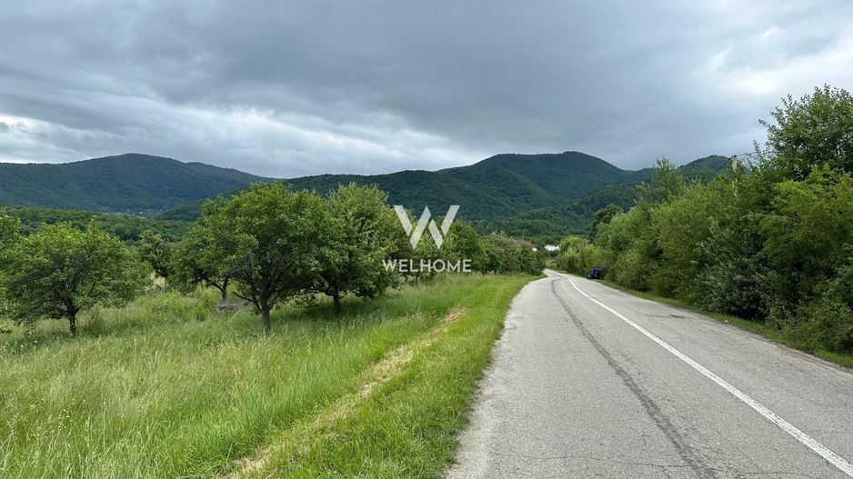 Teren intravilan 2100 mp - Valea Avligului - Sibiu - Poză 4