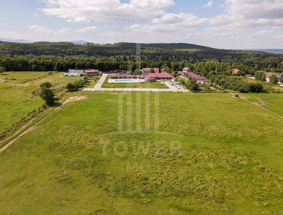 Complex ”BRANDUȘA”- de vânzare | Valea Avrigului - Poză 6