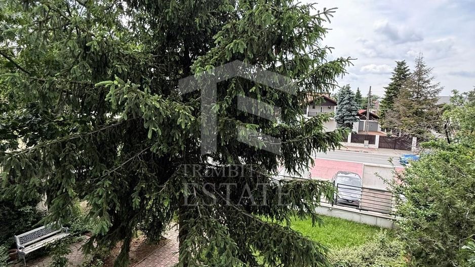 Vila/Spatiu comercial Bd Pipera - Poză 4