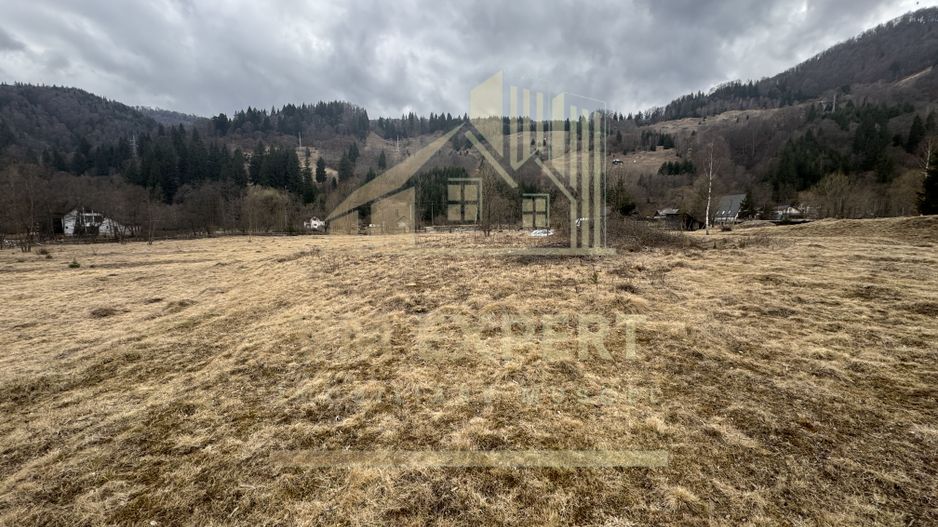 TEREN INTRAVILAN 500 MP SĂTIC- RUCĂR - Poză 19