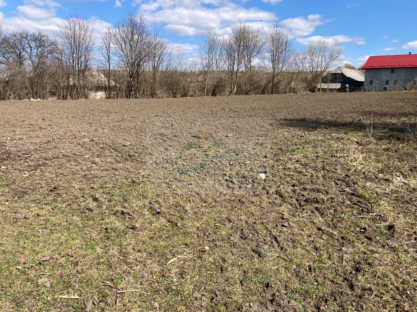 Teren Intravilan 3200 mp de vânzare - Poză 11