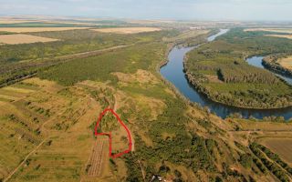 Teren agricol intravilan, 63 ari pe malul Nistrului, Doroțcaia - Poză 2